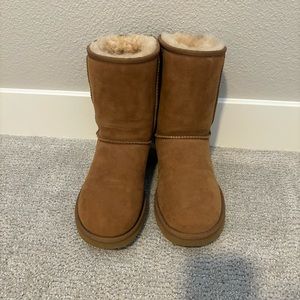 Classic Short Chestnut Ugg Boots